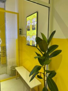 201138740 3874508886011396 2343845743929686709 n