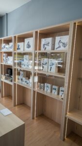 490800717 1347867173451319 9027257917758582104 n