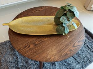 491322418 1347159733522063 6698039555518147880 n