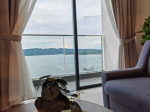 491356023 1347159656855404 8898893124384006778 n