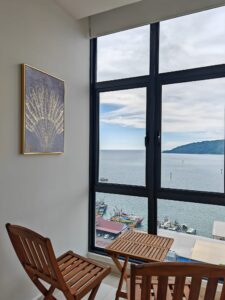 491736854 1347160640188639 725242076132528095 n