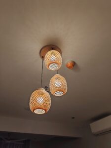 494806227 1363755828529120 2562327255818152811 n